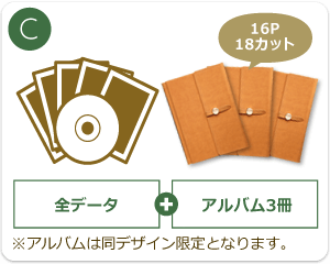 C:全データ+ミニアルバム3冊(16ページ・18カット)