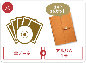 A:全データ+アルバム1冊(14ページ・16カット)