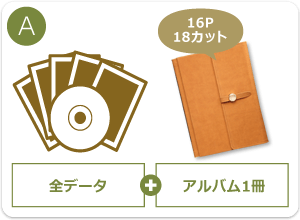 A:全データ+アルバム1冊(16ページ・18カット)