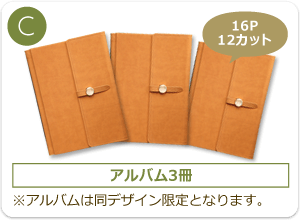 C:アルバム3冊(16ページ・12カット)