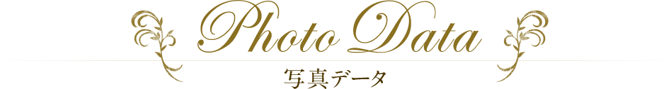 写真データ